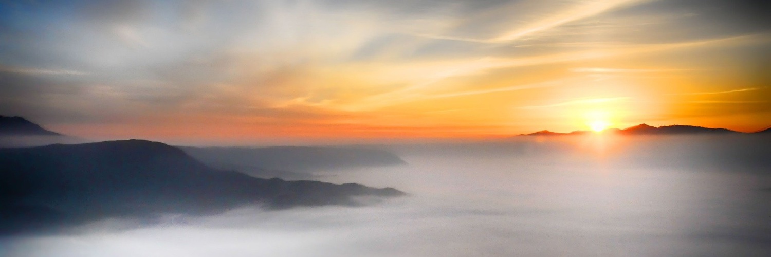 Kathleen Gregory banner