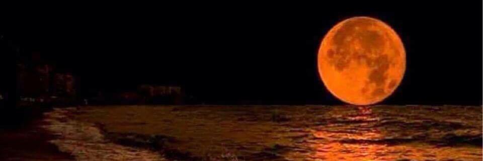 Kathy Crocker banner