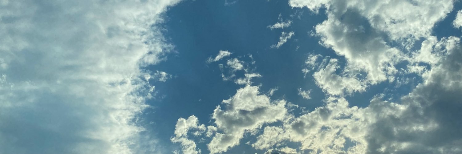 TradewSoni's profile banner image