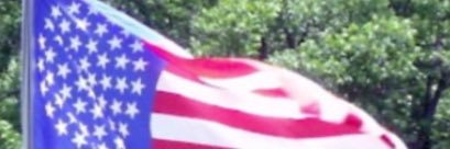 Steven Martinez banner