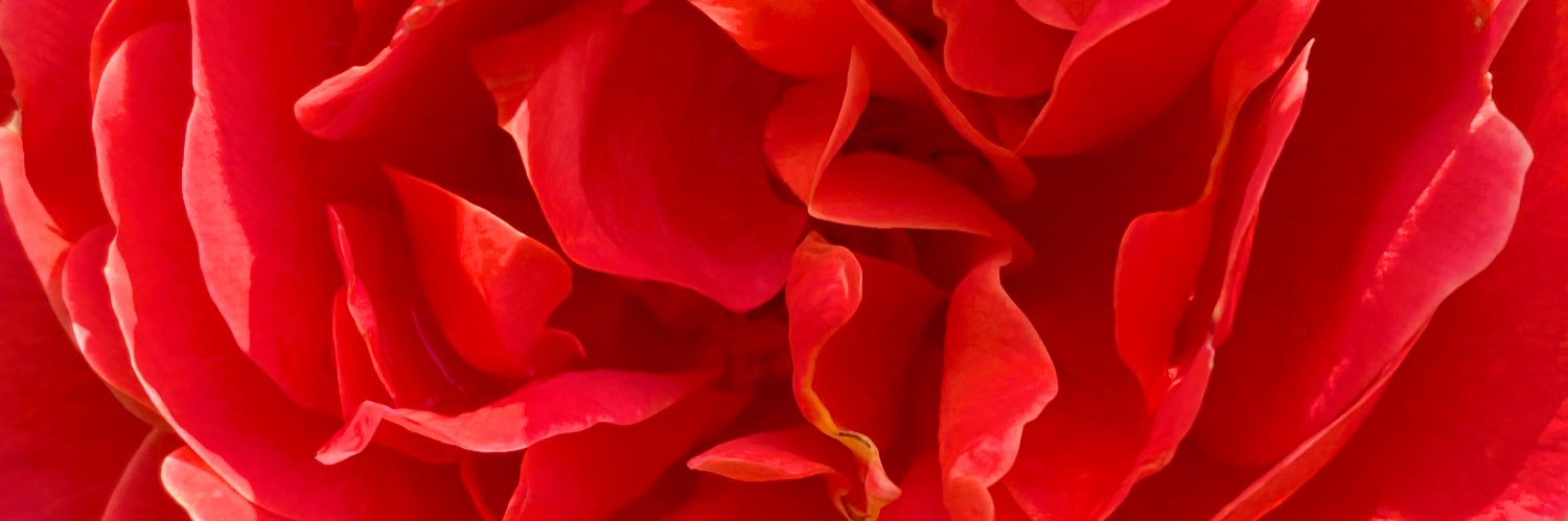 CamilleHap's profile banner image