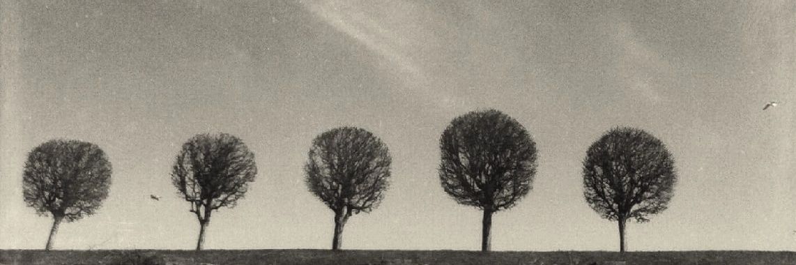 xaynerin's profile banner image
