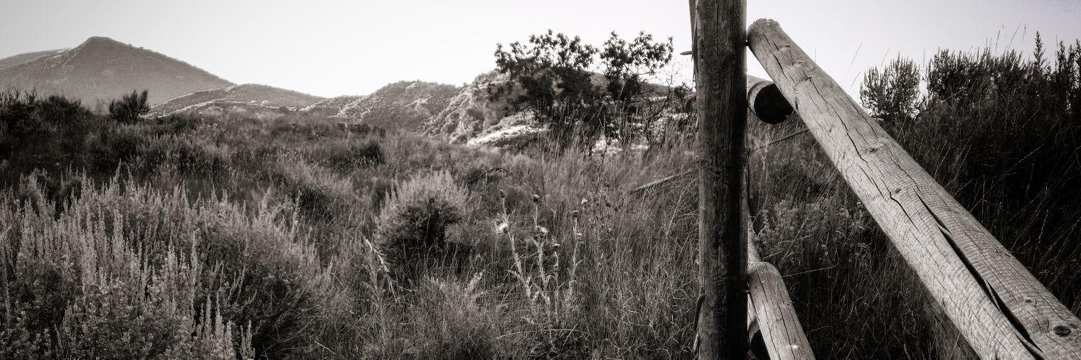fowlercnx's profile banner image