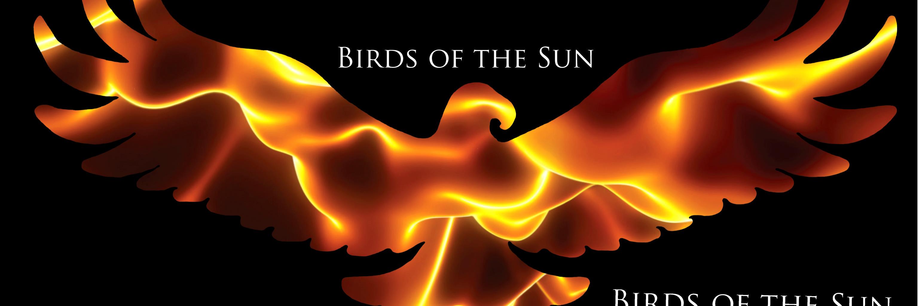 birdsofthesun's profile banner image