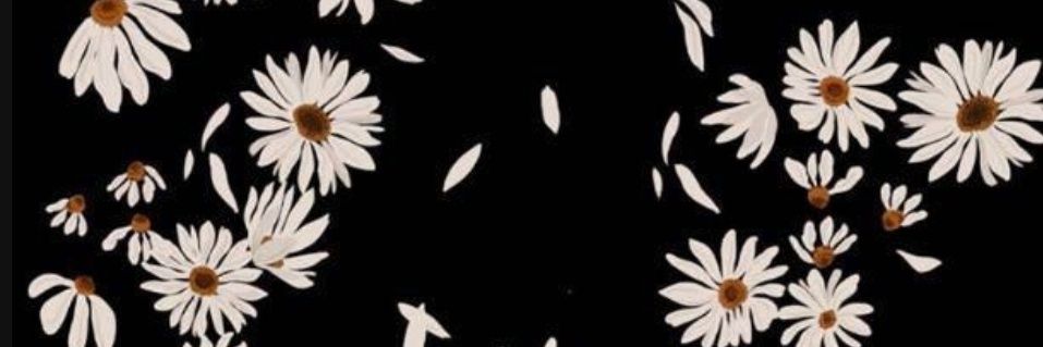 nelliang_'s profile banner image