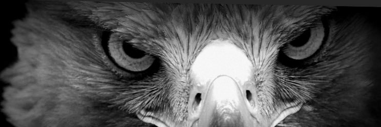 boya_gokhan's profile banner image