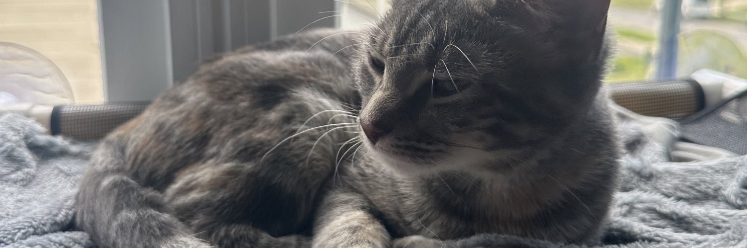 steadymarlon's profile banner image