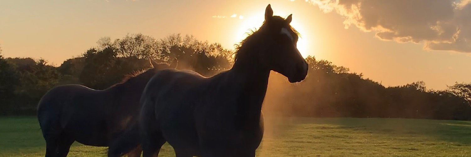 RereK27's profile banner image