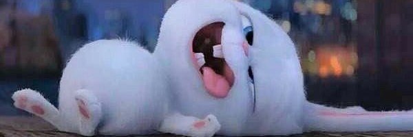 pkpatchass's profile banner image