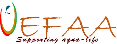 uefaa's profile banner image