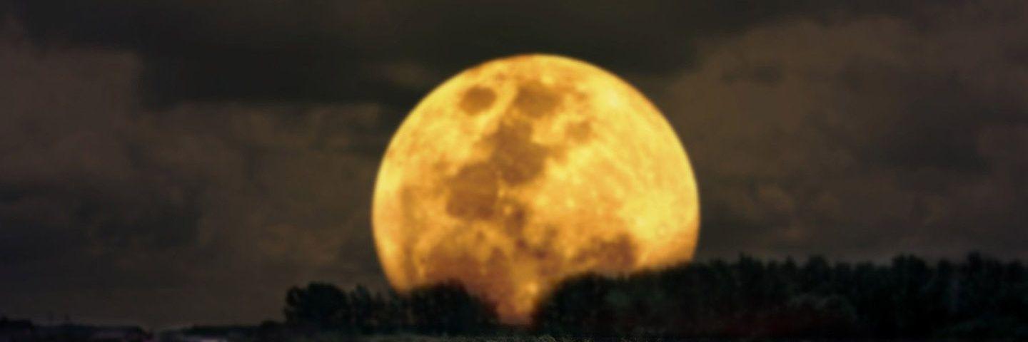 PrinceofDemonz's profile banner image