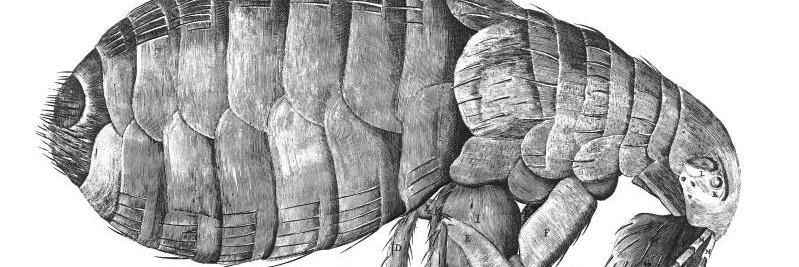 imsodonne's profile banner image