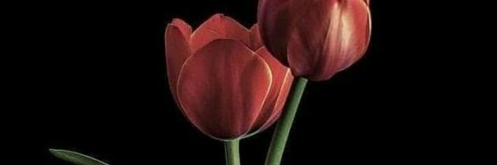 حروفٌ لها صوت banner