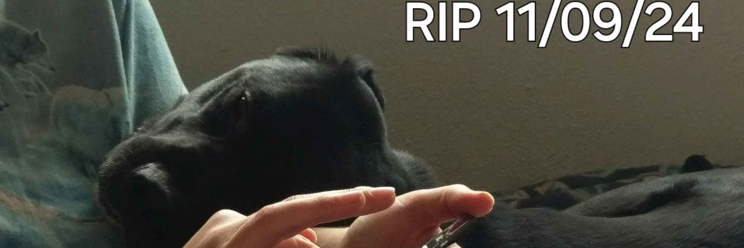 TactlessMoth banner