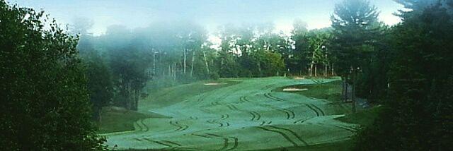 GVTurf's profile banner image