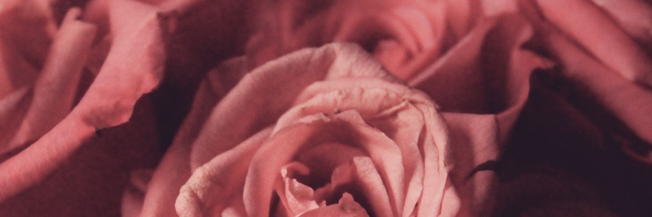 TanieTime's profile banner image