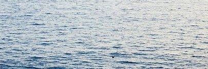 JoseRubenSB's profile banner image