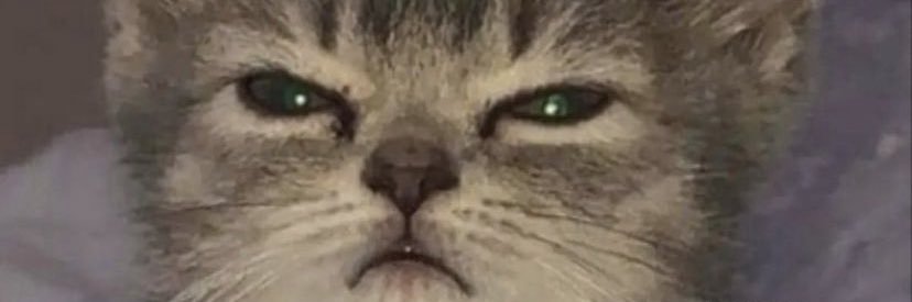 alyssascarlette's profile banner image