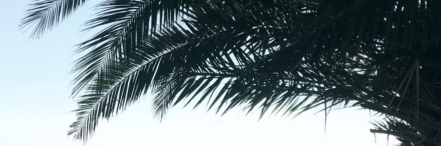 mrverdm5's profile banner image