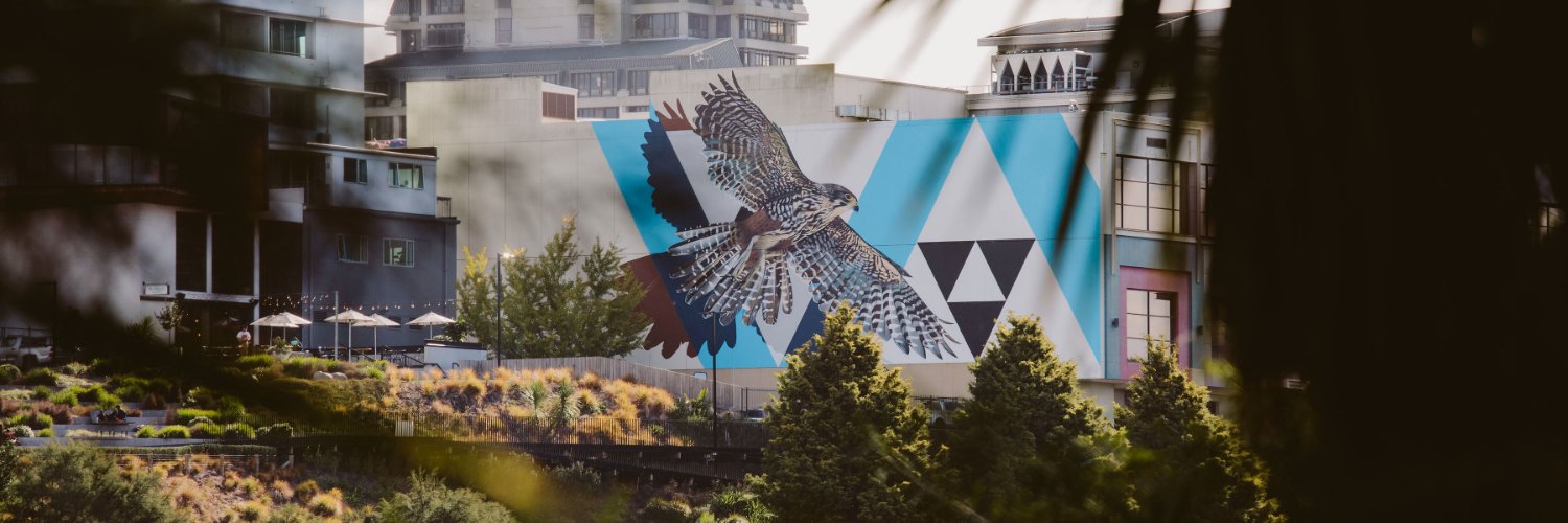 Hamilton City Council banner