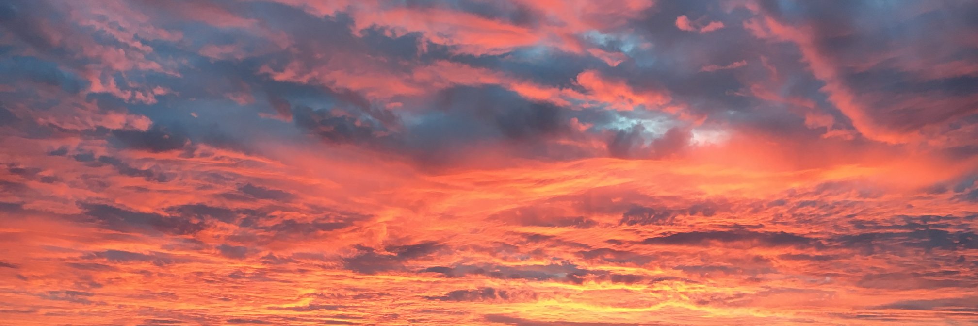 lynnemvt's profile banner image