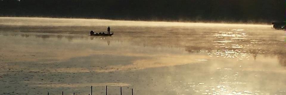 mitra langseth banner