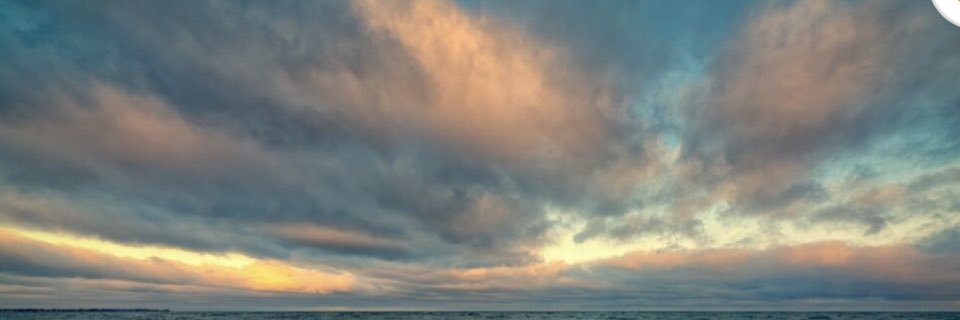 Isabelle Saffar banner