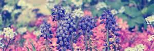 Shauna_252's profile banner image