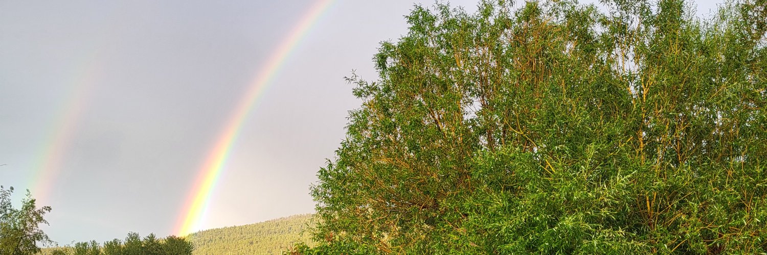 siraw88's profile banner image