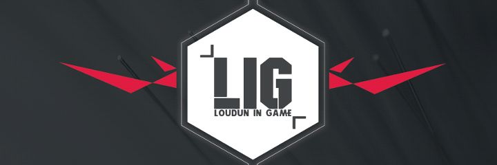 LIG banner