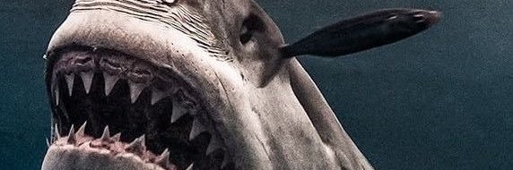 Coldur13's profile banner image