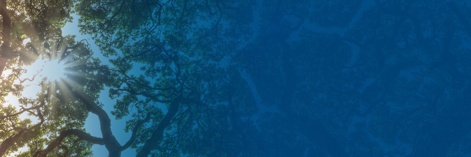 ABardsley99's profile banner image