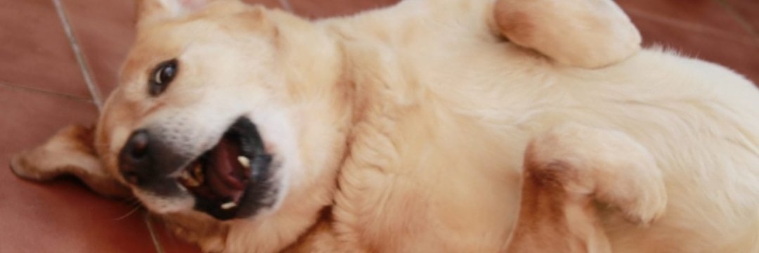 siemem13's profile banner image