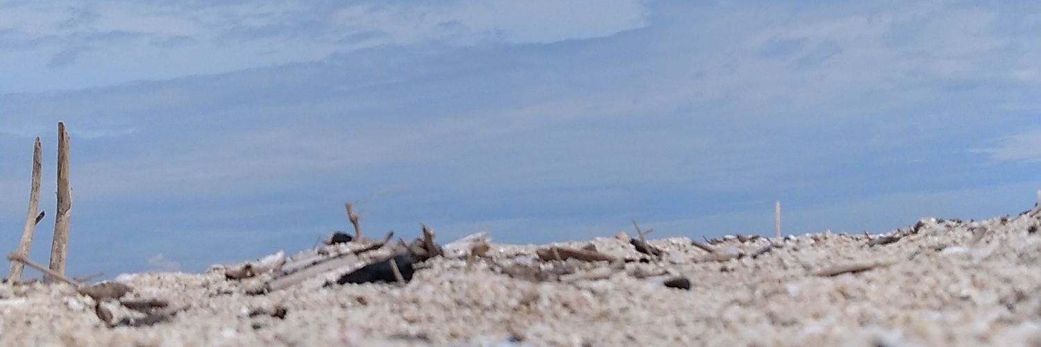 apabilaaaa's profile banner image