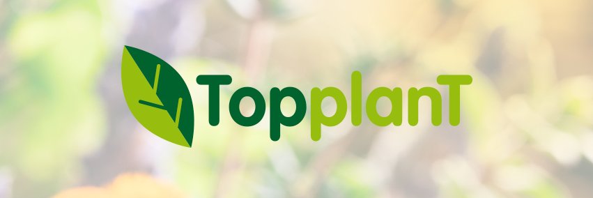 TopplanTes's profile banner image