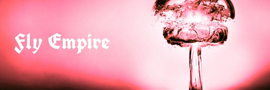 Fly Empire Ent banner