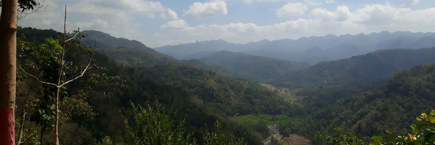 dyahayudam's profile banner image