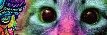 Puxa4an's profile banner image
