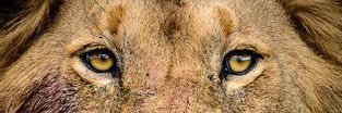 TyFrFr's profile banner image