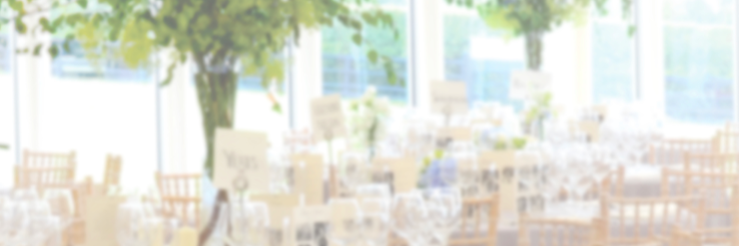 BellamyCentral's profile banner image