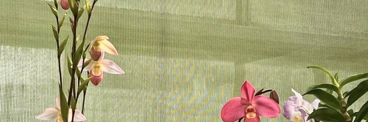 ؘ banner