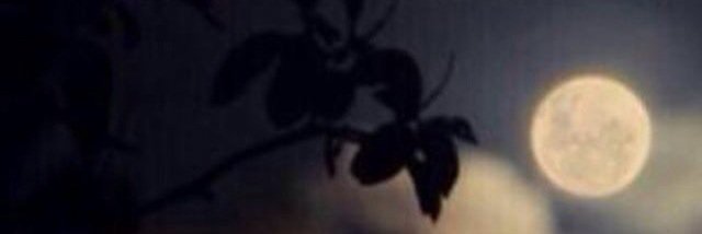 iphpn15's profile banner image