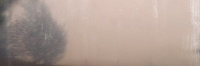 CoughingTheory's profile banner image