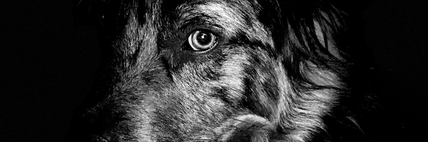 irk23's profile banner image