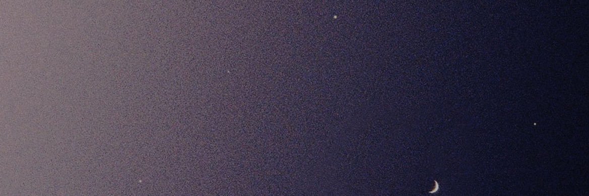tori__ki's profile banner image