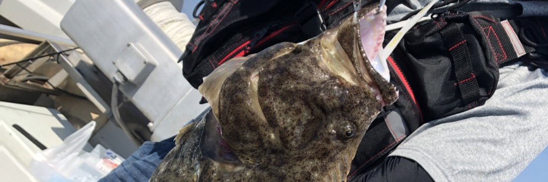 (天΄◉◞౪◟◉｀羅)(遺伝子組み換えでない) banner