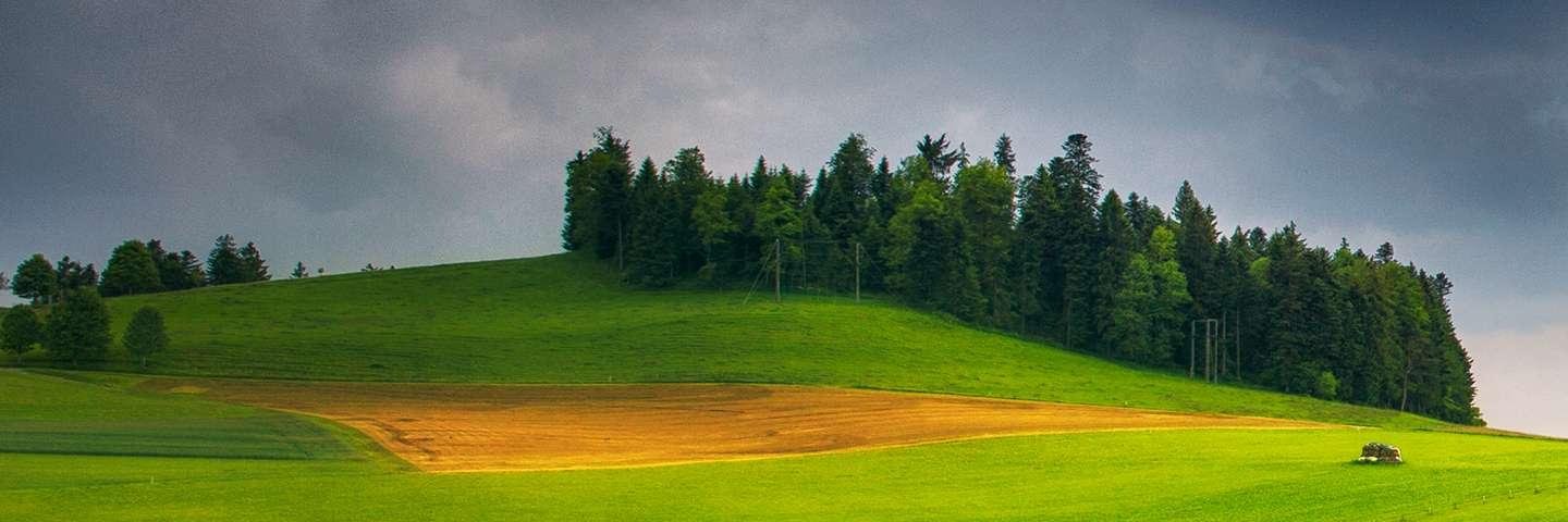 mehmetsaim9's profile banner image
