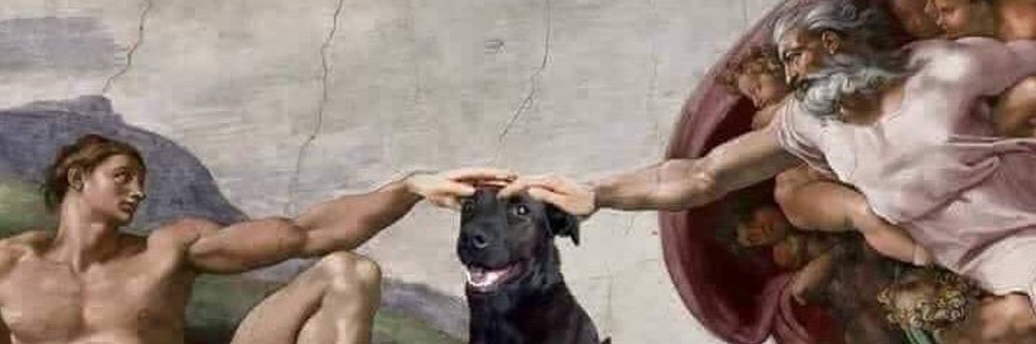 Diego Alcaraz banner