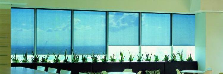 blinds_matheo's profile banner image