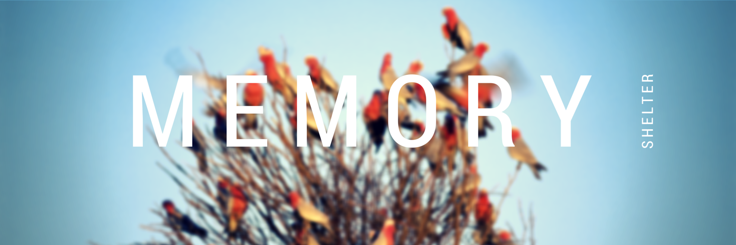 Memory_Shelter's profile banner image